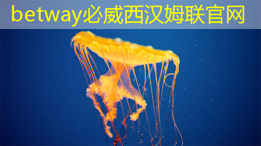 betway必威西汉姆联官网:智能集成电路与光电子芯片论坛(GIIC2021分论坛) betway必威西汉姆联官网:智能集成电路与光电子芯片论坛(GIIC2021分论坛)