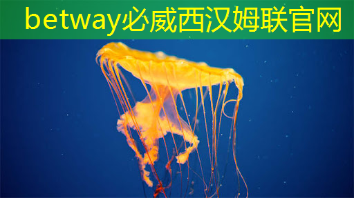必威:直播预告:单芯片边缘计算SoC在CIS与AI融合上的创新与挑战 必威:直播预告:单芯片边缘计算SoC在CIS与AI融合上的创新与挑战
