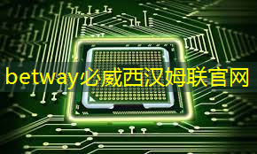 betway必威西汉姆联官网:地平线工具链核心开发者杨志刚:基于征程5芯片的Transformer量化部署实践与经验|自动驾驶新青年讲座 betway必威西汉姆联官网:地平线工具链核心开发者杨志刚:基于征程5芯片的Transformer量化部署实践与经验|自动驾驶新青年讲座