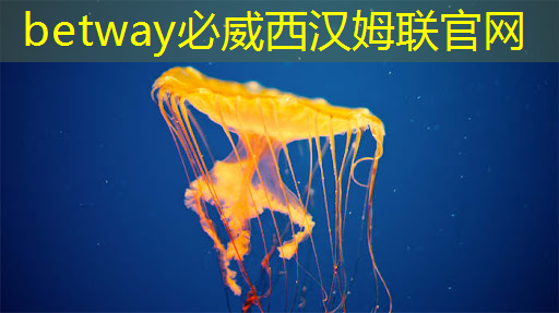 必威:中科院唯一认证的芯片+人形机器人霸主,或将1000%增长 必威:中科院唯一认证的芯片+人形机器人霸主,或将1000%增长