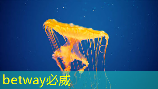 betway必威西汉姆联官网:Talk预告 | 壁仞智能科技高级研究员唐杉:AI芯片技术发展 betway必威西汉姆联官网:Talk预告 | 壁仞智能科技高级研究员唐杉:AI芯片技术发展