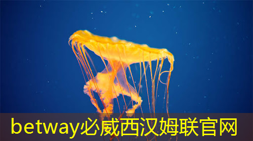 谷歌发布新一代Trillium AI芯片,性能提升四倍,AI计算进入新时代 谷歌发布新一代Trillium AI芯片,性能提升四倍,AI计算进入新时代