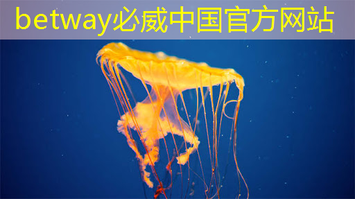 betway必威西汉姆联官网:据泄露:高通正在研发一款功能强大的游戏桌面芯片 betway必威西汉姆联官网:据泄露:高通正在研发一款功能强大的游戏桌面芯片