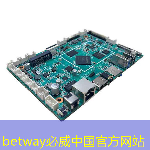 betway必威:美国以“国家安全”名义,审查中国使用RISC-V芯片技术的风险 betway必威:美国以“国家安全”名义,审查中国使用RISC-V芯片技术的风险