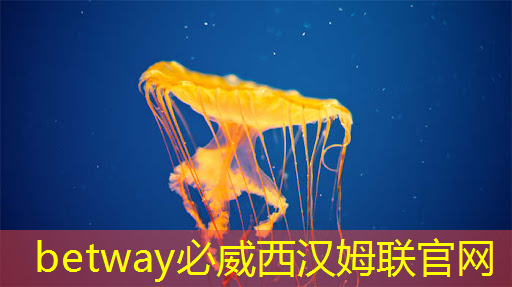 betway必威中国官方网站:英伟达和谷歌最新芯片加速AI训练 betway必威中国官方网站:英伟达和谷歌最新芯片加速AI训练