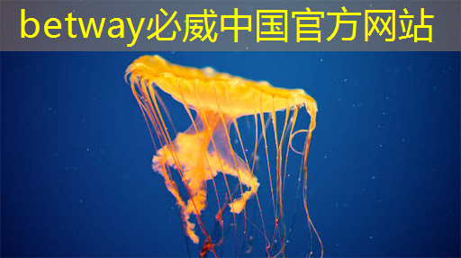 RK3399芯片在消费产品中的应用及PCB设计关键注意事项 RK3399芯片在消费产品中的应用及PCB设计关键注意事项