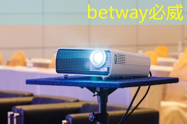 betway必威西汉姆联官网：地平线高级研发总监凌坤：好的自动驾驶AI芯片更是“好用”的芯片｜直播预告