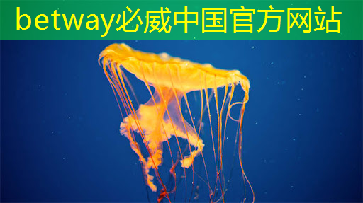 AI芯片ASIC领域深度解析！A股市场博通级潜力股大揭秘！