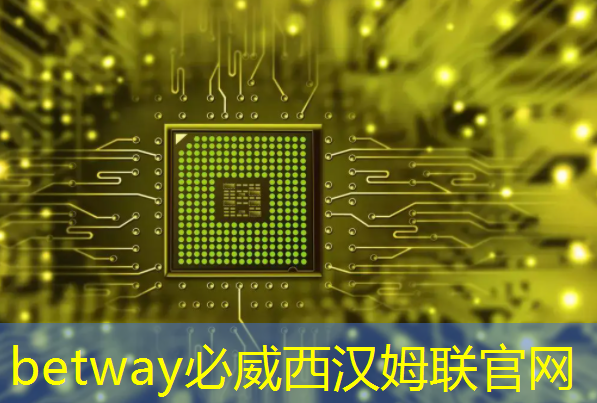 必威：地平线工具链核心开发者杨志刚：基于征程5芯片的Transformer量化部署实践与经验｜自动驾驶新青年讲座