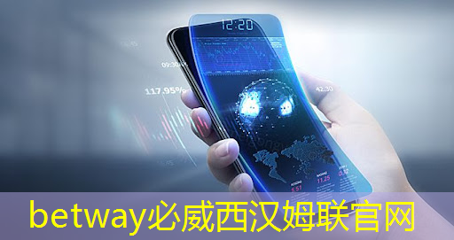 betway必威西汉姆联官网：AMD AI芯片被指软件有缺陷，开箱体验远不如NVIDIA ｜ LeetTalk Daily
