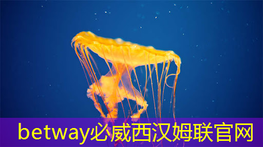必威：基于架构创新，后摩智能点亮业内首款存算一体大算力AI芯片