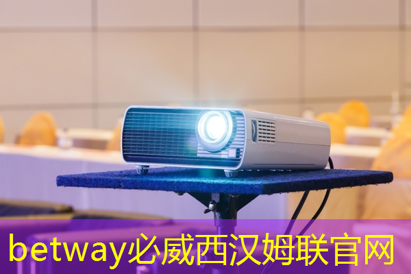 betway必威：张强：中国汽车智能芯片行业里的行动派