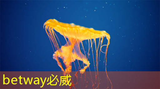 betway必威：射频芯片和普通芯片的不同之处在哪？