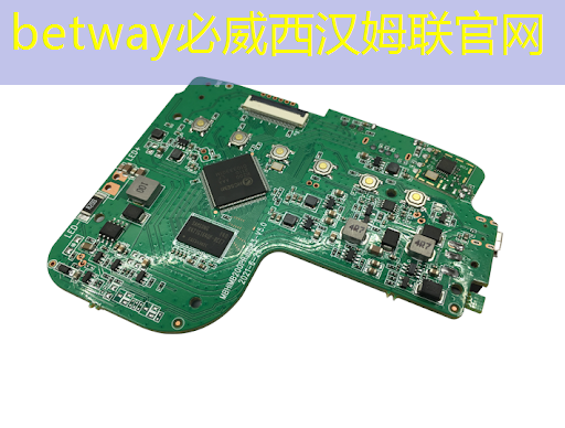 betway必威中国官方网站：接力巨轮智能，全国唯一人形机器人芯片龙头，业绩暴增354%+306家机构提前爆买