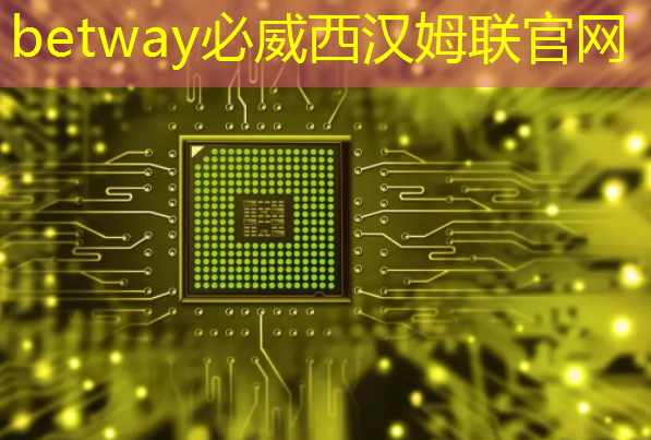 betway必威中国官方网站：Chiplet理念下的芯片设计新生态探索｜直播课预告