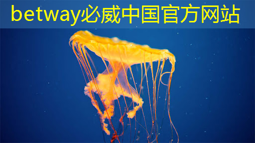 betway必威西汉姆联官网：速递｜前谷歌员工创立的AI芯片MatX，比英伟达提高10倍，完成超3亿美元估值A轮融资