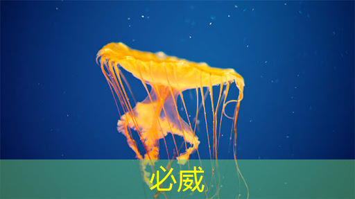 betway必威中国官方网站：智能集成电路与光电子芯片论坛(GIIC2021分论坛)