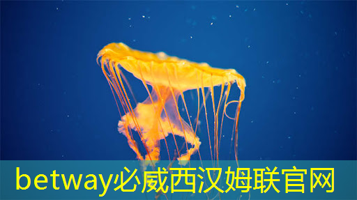 必威：《人工智能芯片技术白皮书（2018）》发布（附下载）
