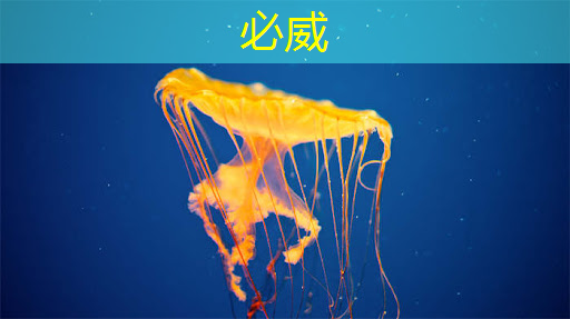 二手智能化仓储物流系统 二手智能化仓储物流系统