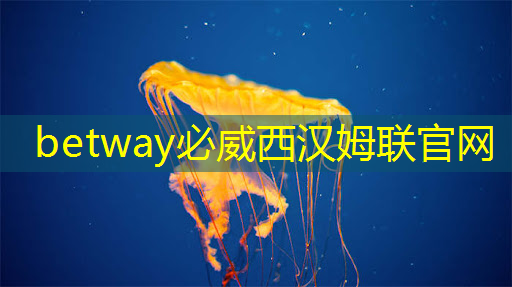 重庆智能物流发展前景如何 重庆智能物流发展前景如何