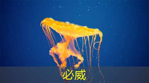 如何避免智能星空投屏在使用过程中发生故障? 如何避免智能星空投屏在使用过程中发生故障?