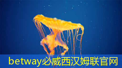 智能星空投屏是否支持远程控制功能? 智能星空投屏是否支持远程控制功能?