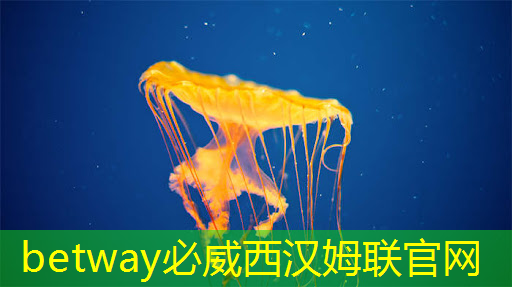 基于大数据智能商显,揭秘消费者需求 基于大数据智能商显,揭秘消费者需求