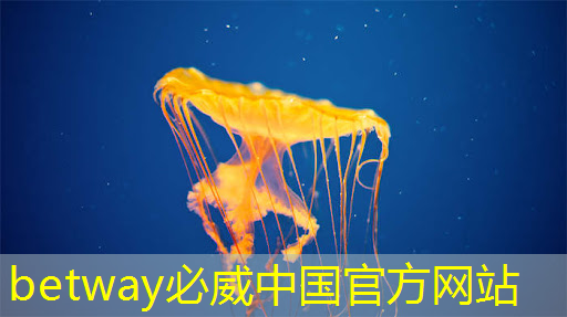 高科技变幻世界:了解未来智慧投影仪可实现的多样操作! 高科技变幻世界:了解未来智慧投影仪可实现的多样操作!
