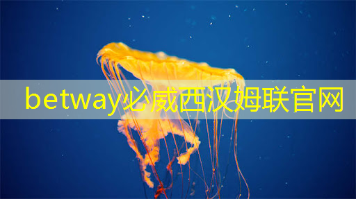商显智慧屏:数字营销的未来趋势与发展方向 商显智慧屏:数字营销的未来趋势与发展方向