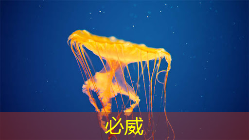 儿童早教投影仪:智能教育的新趋势 儿童早教投影仪:智能教育的新趋势