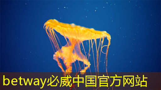 使用智能星空投屏如何实现无线投屏? 使用智能星空投屏如何实现无线投屏?