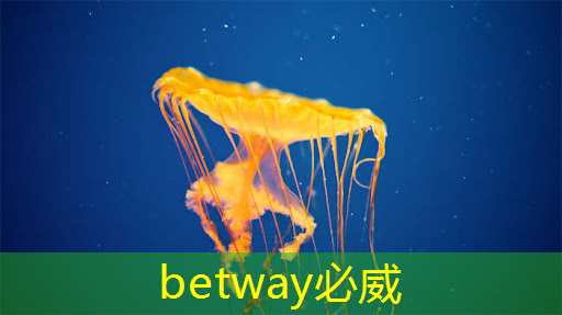 多功能、高效率!商显智慧终端加速商业发展! 多功能、高效率!商显智慧终端加速商业发展!