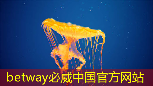 三星二季度营业利润增超14倍,人工智能市场扩大拉动芯片需求 三星二季度营业利润增超14倍,人工智能市场扩大拉动芯片需求