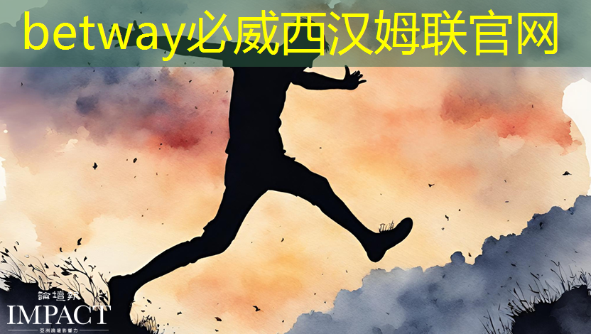 科创板召开芯片设计专场业绩会:新品研发进展和增量市场受关注 科创板召开芯片设计专场业绩会:新品研发进展和增量市场受关注