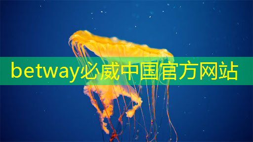 启迪企业｜稻源科技发布人工智能边缘计算AI芯片