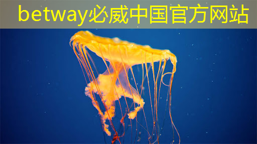 Meta推出新版自研AI芯片:性能较上代提高三倍,降低对英伟达依赖 Meta推出新版自研AI芯片:性能较上代提高三倍,降低对英伟达依赖