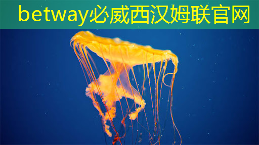 美媒：全球芯片短缺或持续到2023年
