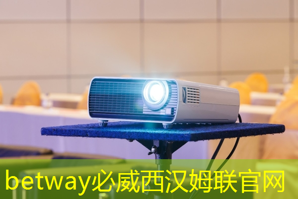 一只断层票,芯片黑马。 一只断层票,芯片黑马。