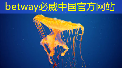首创高中芯片教育课程 点燃学生自主创新薪火