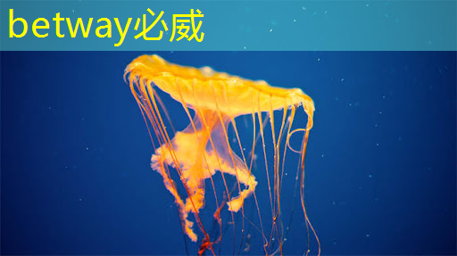 专访澳大李家明:开发首个用于「微型多核核磁共振成像」定制芯片 专访澳大李家明:开发首个用于「微型多核核磁共振成像」定制芯片