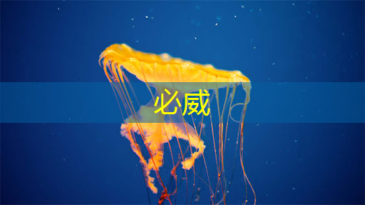 曾航：支持国产芯片，从培育生态开始