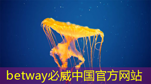 华为订购1600片AI芯片:智能时代的核心竞争力 华为订购1600片AI芯片:智能时代的核心竞争力