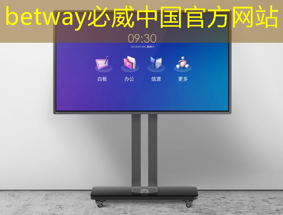 新枫桥网 ｜ 2024 年，汽车芯片的风云变局